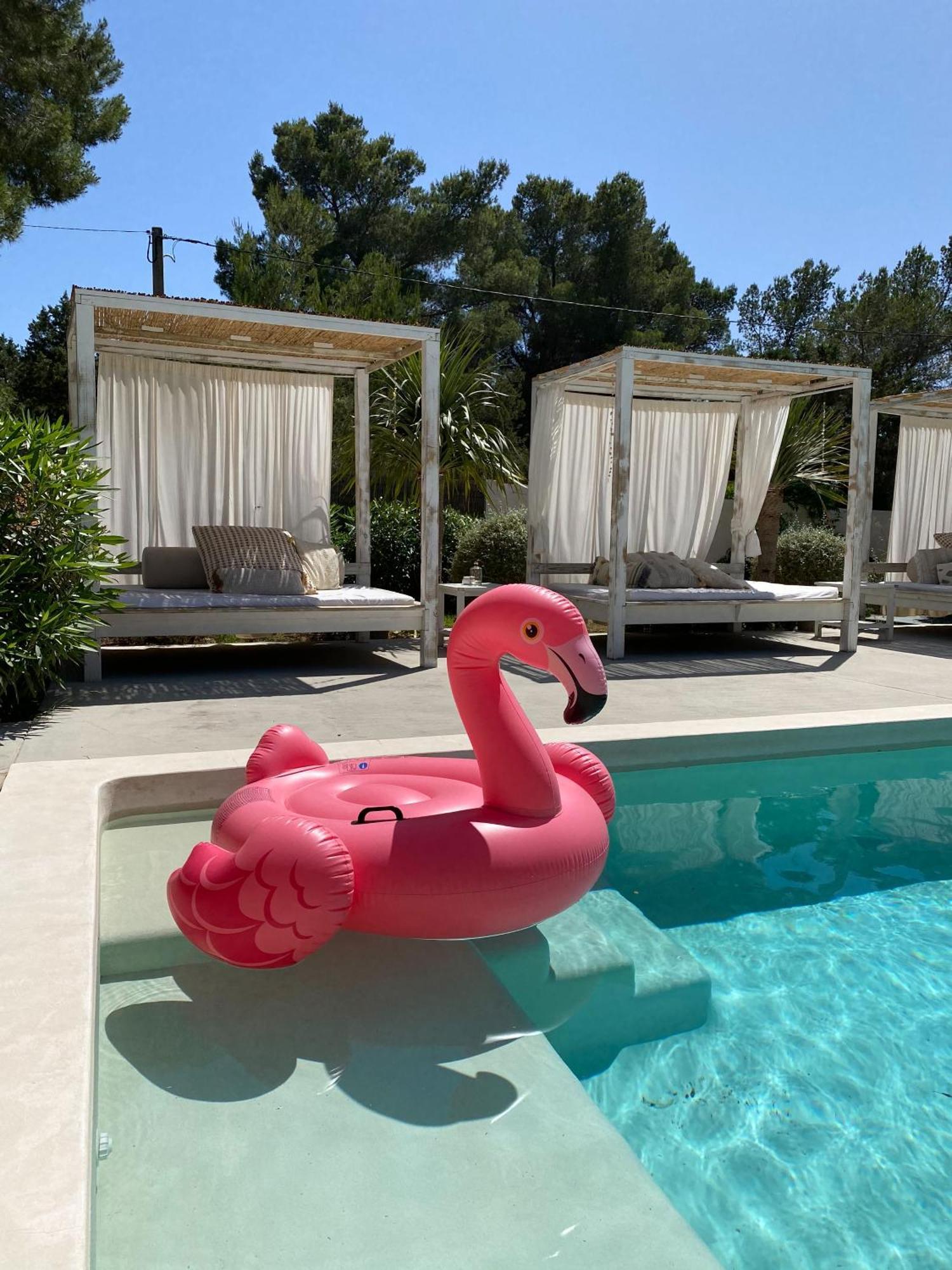 Boutique Hotel Casa Caracol - Apartments In Strandnaehe, Salzwasserpool, Fotovoltaik, Adults Only San José Εξωτερικό φωτογραφία